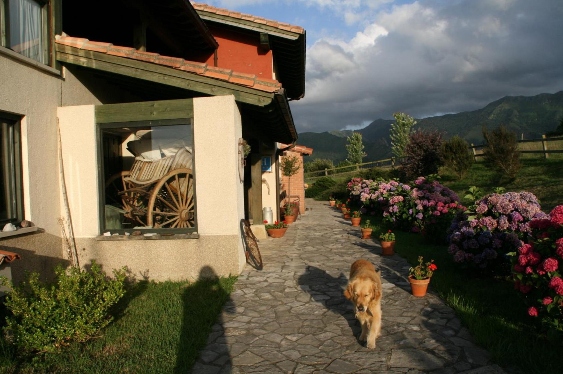 Paraje Del Asturcon - Adults Only Ribadesella Εξωτερικό φωτογραφία